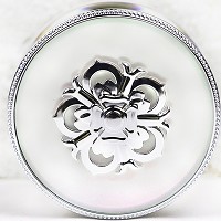 美珈豪 私人定制 D霜30g(绿色膏体)小白瓶(老款 淡暗美肤霜)祛黄/祛印