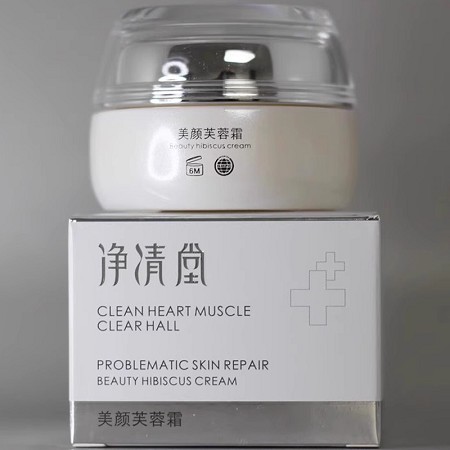 海洋之谜 美颜芙蓉霜30g 净化斑点、提亮美颜