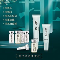 韩伊美 栀子花靓颜组合